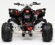 2011 Adly  Beeline BESTIA 3.3 Supermoto \ Motorcycle Quad photo 3