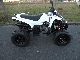 2011 Adly  Luxxon 280s Motorcycle Quad photo 2