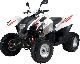 2011 Adly  320S Offroad Motorcycle Other photo 1