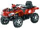 Arctic Cat  TRV 700 GT with power steering 2011 Quad photo