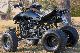 2010 Bashan  BS-250s Motorcycle Quad photo 2