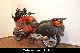 1996 BMW  R 1100 RT R 1100 RS K 1100 as RS Motorcycle Tourer photo 7