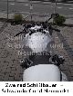 2004 BMW  R 1100 S twin detonator special paint ABS Warranty Motorcycle Sports/Super Sports Bike photo 10