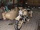 1943 BMW  R75 Motorcycle Combination/Sidecar photo 1