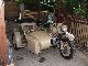 1943 BMW  R75 Motorcycle Combination/Sidecar photo 2