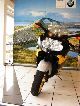 2005 BMW  K 1200 S ABS, ESA., Heated grips, 1.Hand Motorcycle Motorcycle photo 2