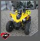 2010 Can Am  DS 250 Motorcycle Quad photo 1