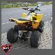 2010 Can Am  DS 250 Motorcycle Quad photo 3