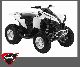 Can Am  Renegade 500 from the dealer plus LOF 2011 Quad photo