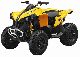 2011 Can Am  BRP Renegade 800R EFI Motorcycle Quad photo 1