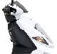 2011 Daelim  OTHELLO DAELIM 125cc F.I. White scooter Motorcycle Scooter photo 4
