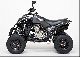 2011 Dinli  450 Special only 5759, - Motorcycle Quad photo 3