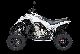 2011 Dinli  450 Special only 5759, - Motorcycle Quad photo 4