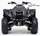 2011 Dinli  Centhor 800EVO 4x4 only 7963, - Motorcycle Quad photo 1