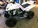 2011 Dinli  450 Special NEW NEW Motorcycle Quad photo 11