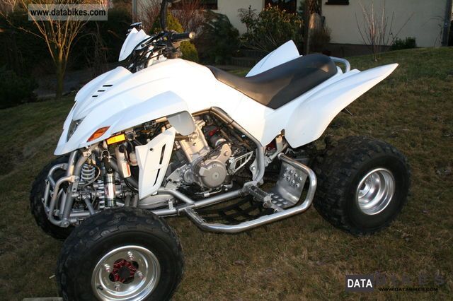 2011 Dinli  450 Motorcycle Quad photo