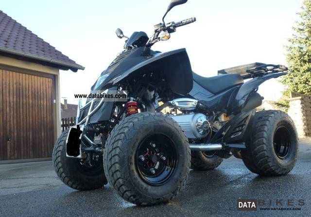 2011 Dinli  Rooki 300 Special Motorcycle Quad photo