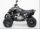 2011 Dinli  450 Special Sports Motorcycle Quad photo 1