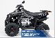 2011 Dinli  300Special Rookie X Motorcycle Quad photo 1
