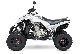 2011 Dinli  450 Sports Special Motorcycle Quad photo 2