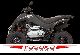 2011 Dinli  Rookie 300 4x2 Motorcycle Quad photo 2