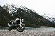 2001 Ducati  Monster VERY maintained effect paint, etc. Motorcycle Naked Bike photo 4