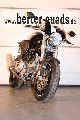 2003 Ducati  Monster 1000 Motorcycle Naked Bike photo 2