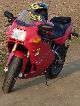 1995 Ducati  ss 600 Motorcycle Sports/Super Sports Bike photo 4
