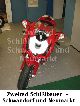 2004 Ducati  999 Biposto Motorcycle Motorcycle photo 3