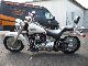 2003 Harley Davidson  Fat Boy model carburetor 100years Motorcycle Motorcycle photo 4
