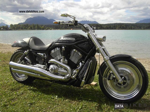 2004 Harley Davidson  V-Rod with 240. Kesstech.uvm. Motorcycle Chopper/Cruiser photo