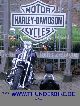2004 Harley Davidson  FLSTS Softail Springer - Twin Cam - TOP Motorcycle Chopper/Cruiser photo 3