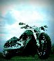 2010 Harley Davidson  XL 883C Sportster Custom 2-seater / 2500 KM! Motorcycle Chopper/Cruiser photo 9