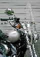 2010 Harley Davidson  XL 883C Sportster Custom 2-seater / 2500 KM! Motorcycle Chopper/Cruiser photo 6