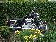 2010 Harley Davidson  sportster custom xl 883 Motorcycle Chopper/Cruiser photo 1