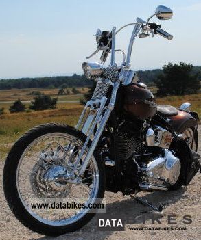 2007 Harley Davidson  FLSTFI Motorcycle Chopper/Cruiser photo
