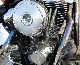 1987 Harley Davidson  Evo FXSTC Motorcycle Chopper/Cruiser photo 3