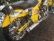 1999 Harley Davidson  Arlen Ness Custom Motorcycle Chopper/Cruiser photo 4