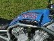 2007 Harley Davidson  Screamin 'Eagle V-Rod 300 Motorcycle Streetfighter photo 1