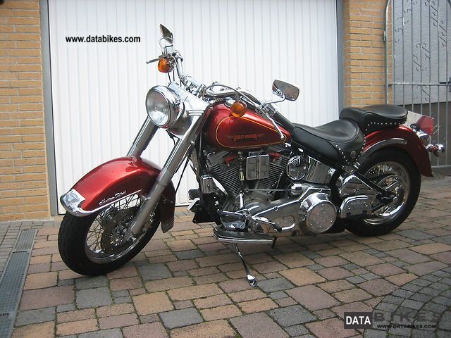 1987 Harley Davidson Softail Sale Online, 56% OFF | www.ingeniovirtual.com