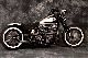 Harley Davidson  Softail / Springer / BOBBER 2006 Chopper/Cruiser photo