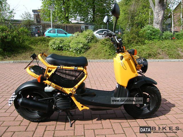 2008 Honda  Zoomer Motorcycle Scooter photo