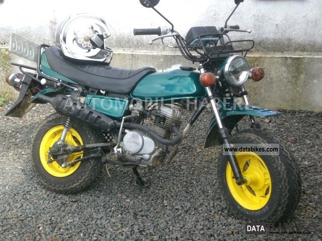 1981 Honda  CY 50 Motorcycle Motor-assisted Bicycle/Small Moped photo