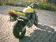 2001 Honda  CB600F Hornet Motorcycle Motorcycle photo 3