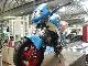 1992 Honda  Monkey ZB 50 collector car ** ** Motorcycle Motor-assisted Bicycle/Small Moped photo 1