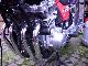 1981 Honda  CB 900 Bol Dor ` Motorcycle Naked Bike photo 2