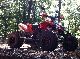 KTM  XC 525 with newly overhauled engine LOF approval 2011 Quad photo