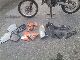 1999 KTM  SX 125 with accessories Motorcycle Rally/Cross photo 1