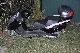 2010 Peugeot  Satelis Motorcycle Lightweight Motorcycle/Motorbike photo 1