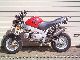2011 Skyteam  PBR dual exhaust 125cc Motorcycle Lightweight Motorcycle/Motorbike photo 3